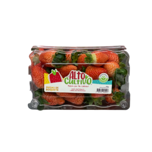 FRESAS FRESCAS ALTO CULTIVO