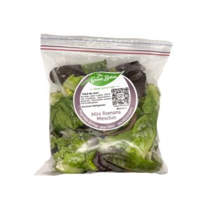 MINI ROMANA MEZCLUM THE GREEN BATCH