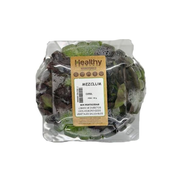 LECHUGA MEZCLUM Healthy Grower 90g