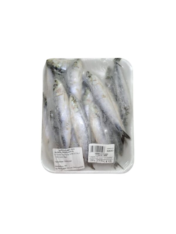 Sardina Rubén Bandeja Precio por kg