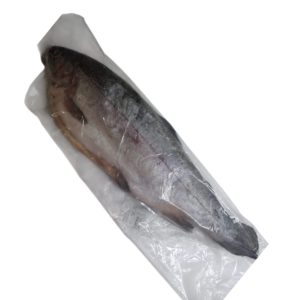 TRUCHA ENTERA (PRECIO POR KG)