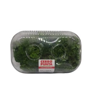 PEREJIL BANDEJA 100GR