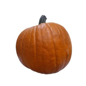 CALABAZAS LARGE