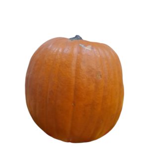 CALABAZAS JUMBO