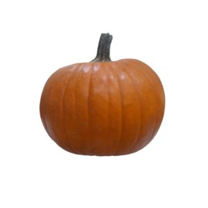 CALABAZAS SMALL